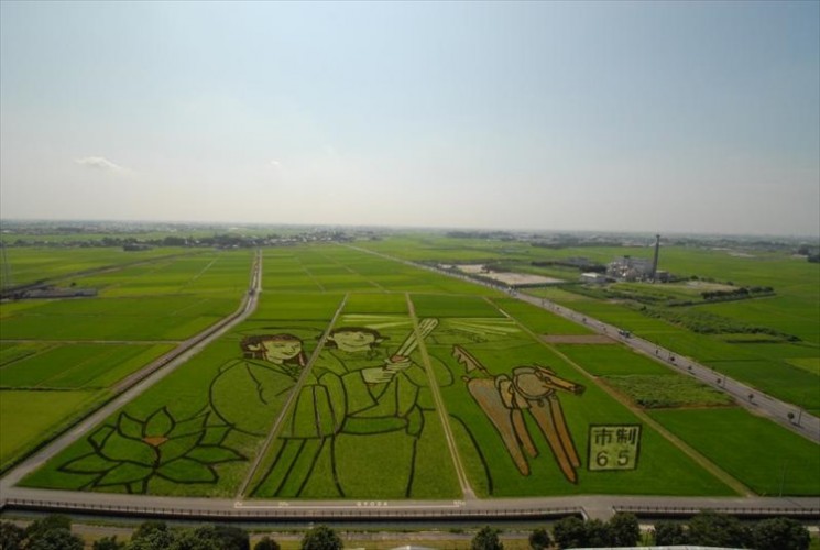 fd140826d00003