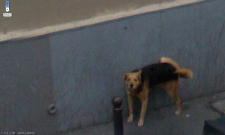 tumblr_l74m00q5pQ1qzun8oo1_1280