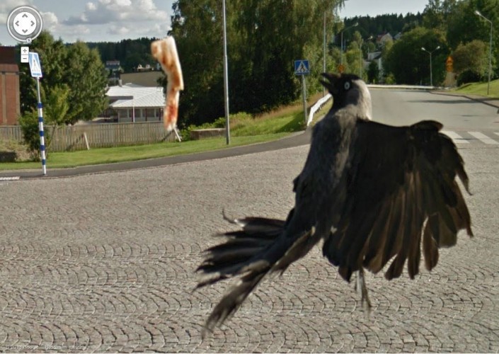 tumblr_mngoebSSOq1robnmro1_1280