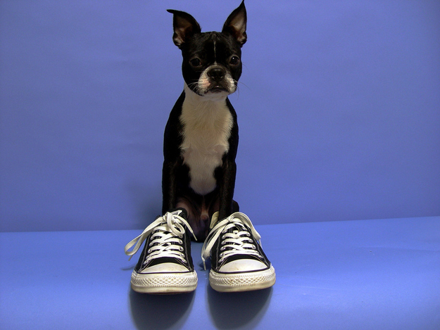 enhanced-buzz-28293-1342195857-4