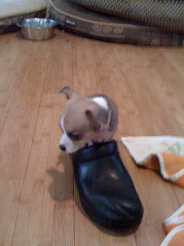 enhanced-buzz-3572-1342196411-10