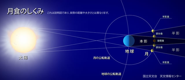 fd141007a005