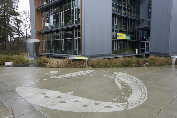 super-hydrophobic-wet-sidewalk-rain-street-art-rainworks-peregrine-church-3r