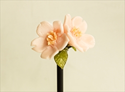 work_009_2015_R