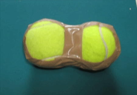 DIY_kenko1_R