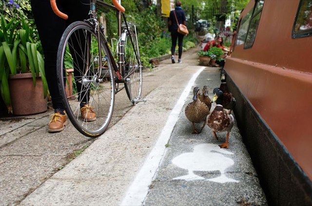 lane-duck-path-london-sharethespace-2_R