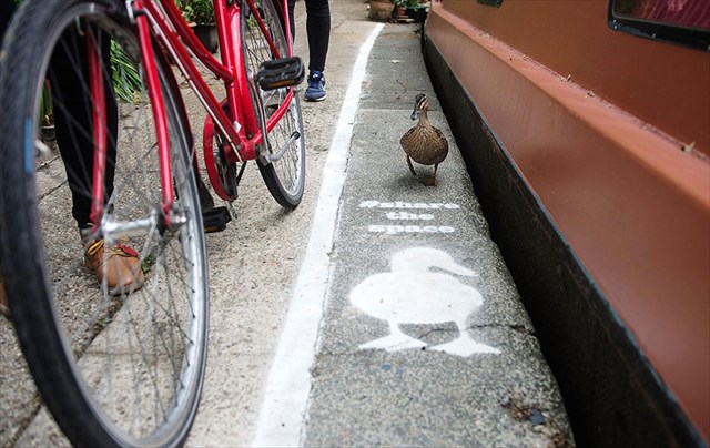 lane-duck-path-london-sharethespace-9_R