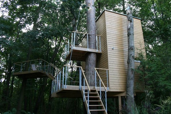 tree-inside-house-architecture-2__880r