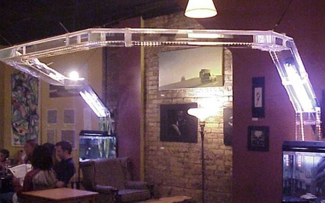 fd0911049