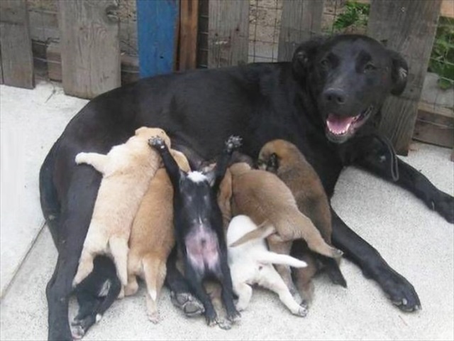 ５_R