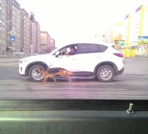 russia_different_12_R