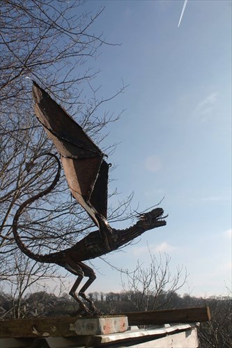 doragon