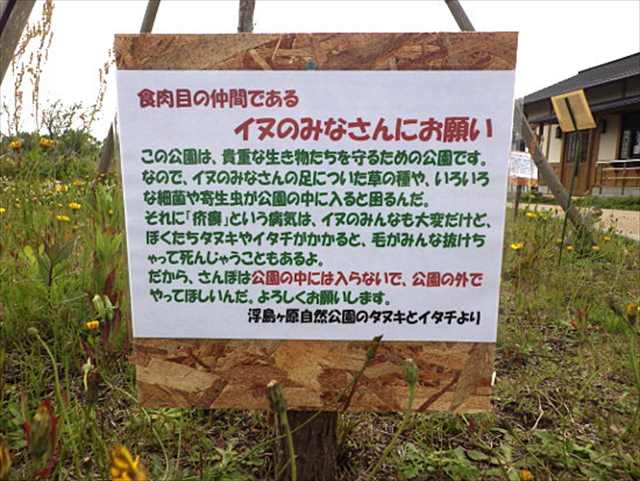 kan