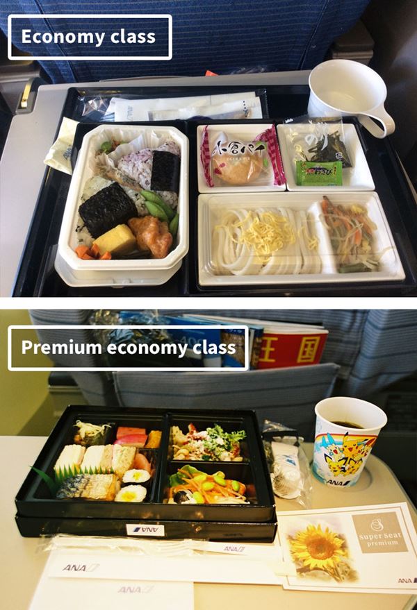 airline-food-business-vs-economy-compared-84__700r