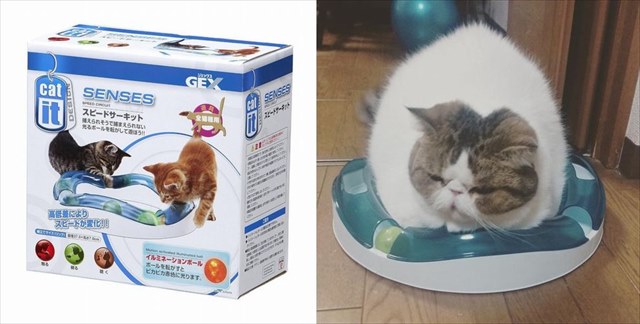 eisou
