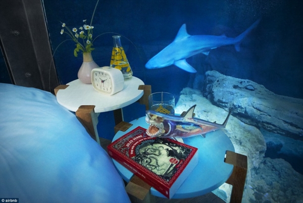 32A29F4C00000578-3513560-The_shark_themed_bedroom_will_be_available_for_three_days_after_-a-12_1459244318053r