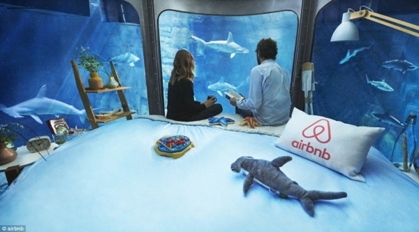 32A29F6300000578-3513560-The_opportunity_which_is_being_offered_on_Airbnb_aims_to_teach_p-a-10_1459244318050r