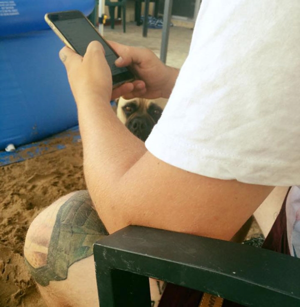 creepy-dog-stalks-owner-cyrus-bullmastiff-lauren-birney-30r