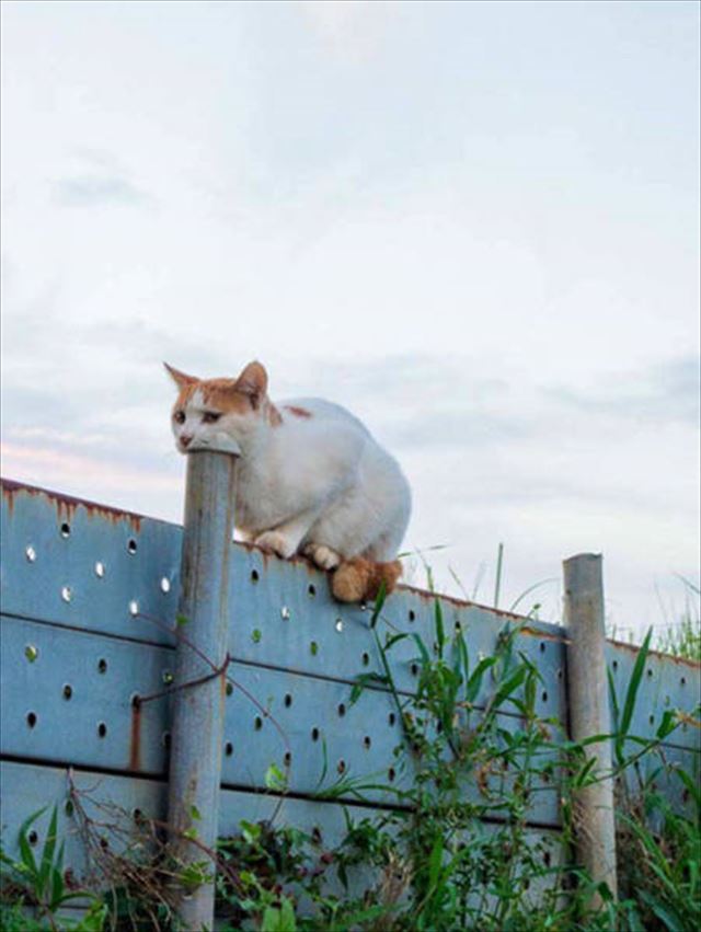 photo_06r