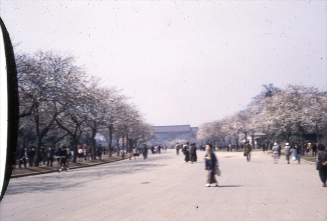 uenopark_R