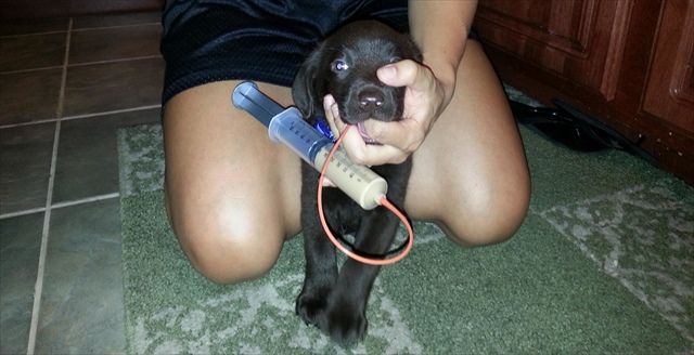 bronson-tube-feeding-e1469123045607_R