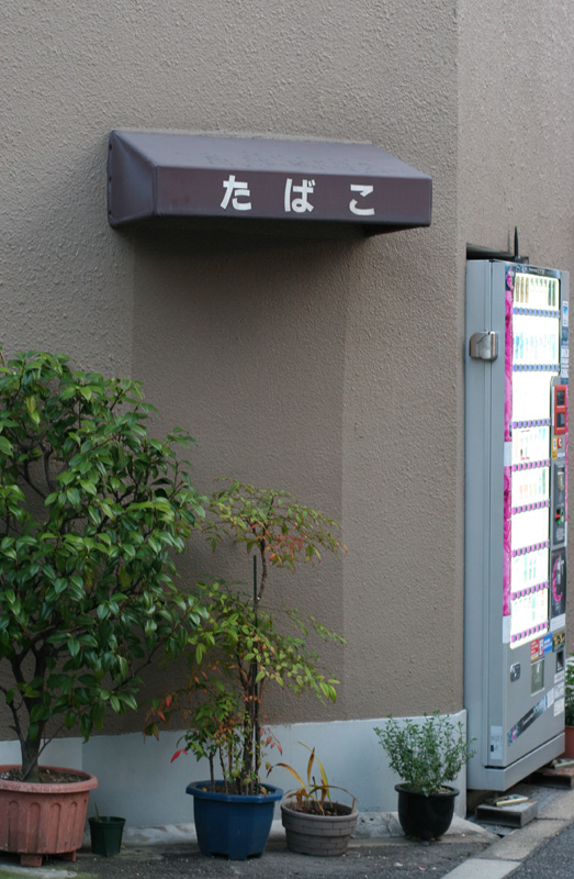 fd_tom_08