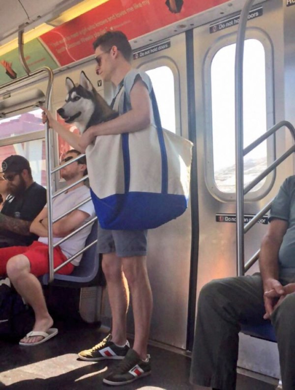 man-with-giant-dog-tote-bag-new-york-subway-1ar