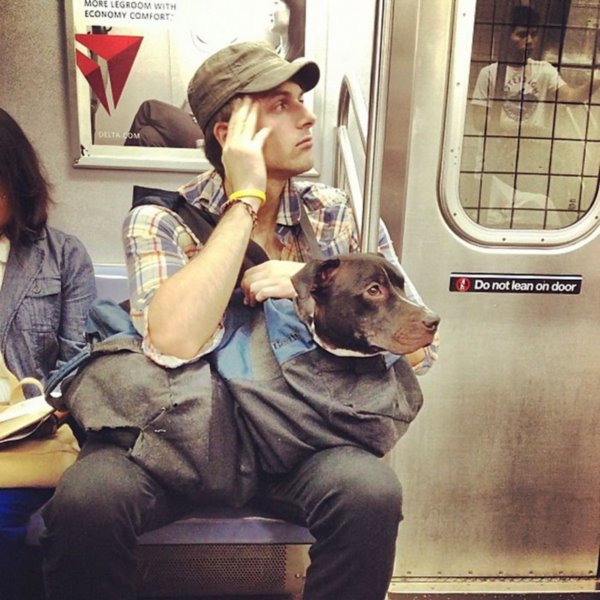 man-with-giant-dog-tote-bag-new-york-subway-4r