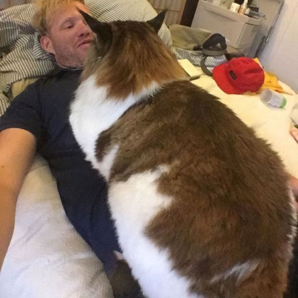 largest-cat-nyc-samson-jonathan-zurbel-32r