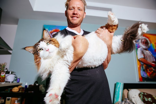 largest-cat-nyc-samson-jonathan-zurbel-34r