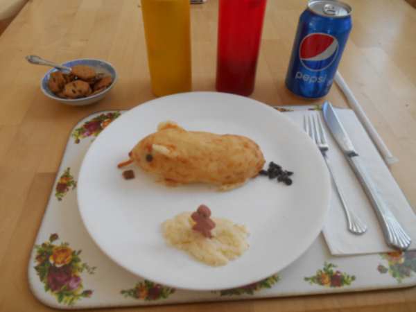 lunch-aug-9-2016-hairless-guinea-pig-11r