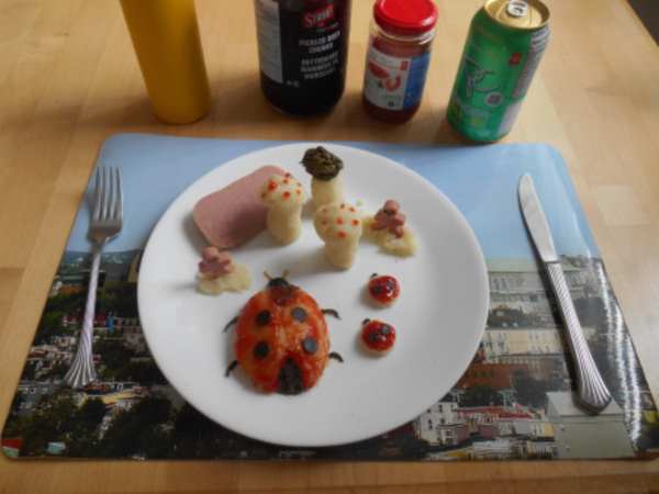 lunch-lady-bugr