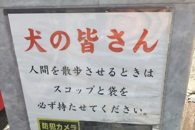 fd_chu_14