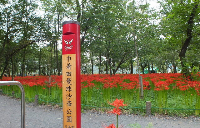 fd_higa_04