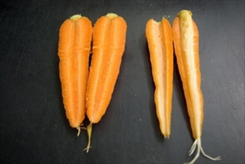 583857d05c6e15c26f780eb2197fec98_R