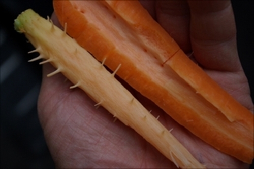 6f7761b5c86b0062e71d0a36523bd097_R