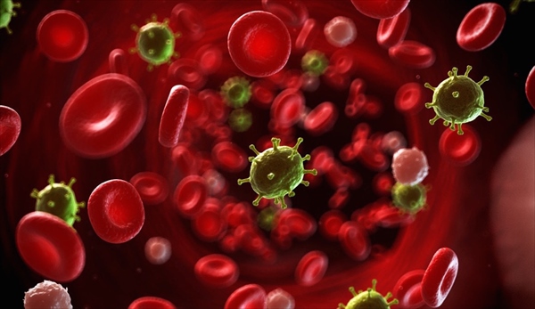 Blood-and-Protein-illustration2028129_R
