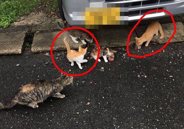 CqgK2FoUsAAdxT0_640_01