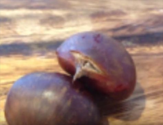 WS000004_R