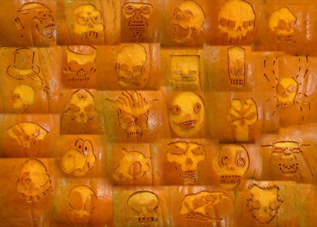 skulls_pumpkin_detail_by_ceemdee-d9f117n_png_R