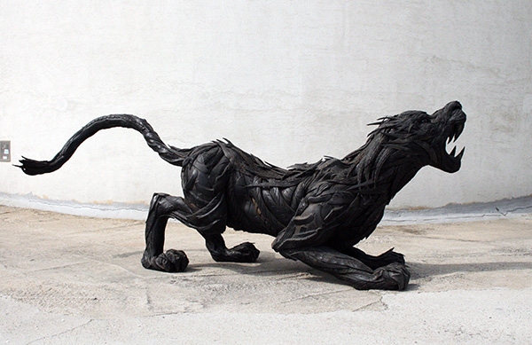 4_jaguar-7img0325