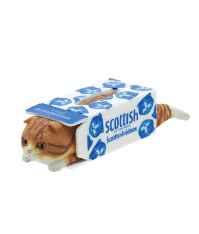 fd_sco_04
