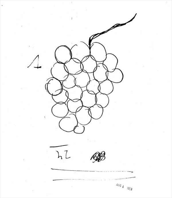 WS00001_R