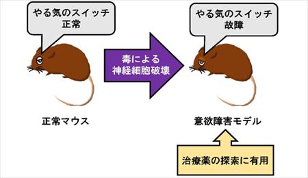 20170201pressSano_2_R