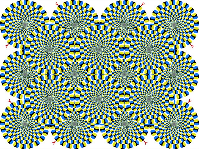 rotsnakesstrong6b2013-testL_640