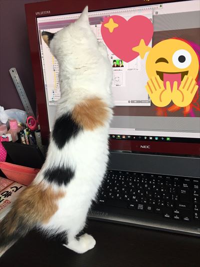 cat_10_400