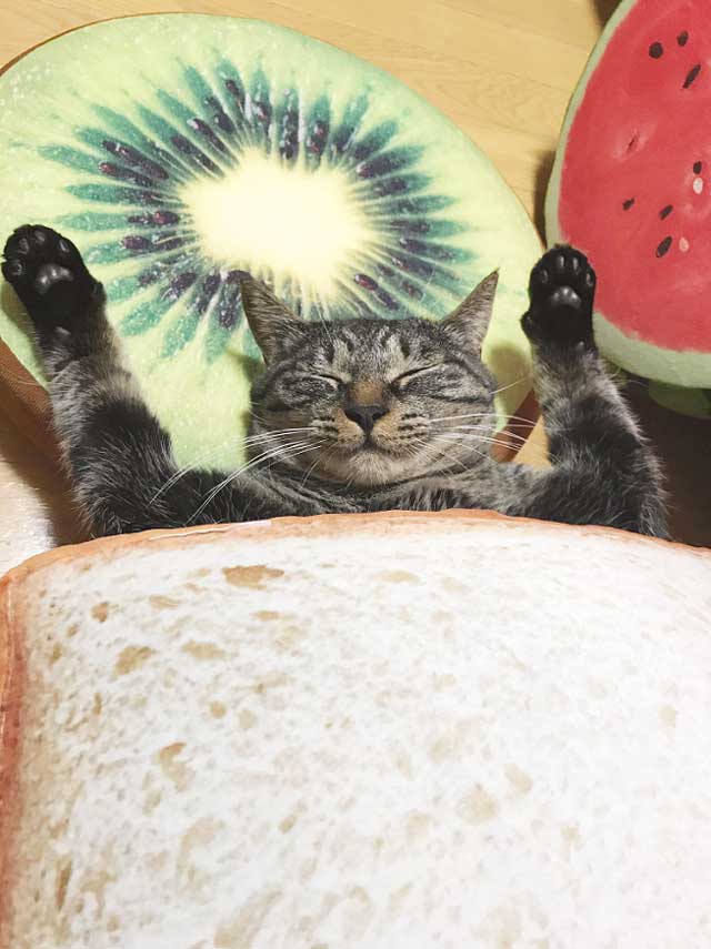 05