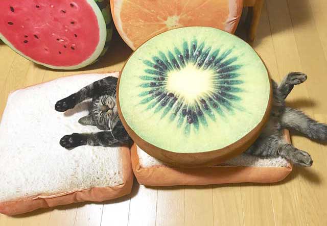 06