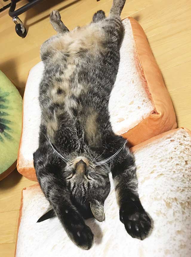 07