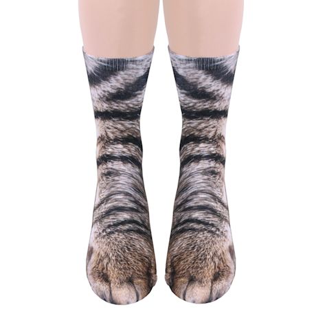 CT8119_CAT_ON_FORM